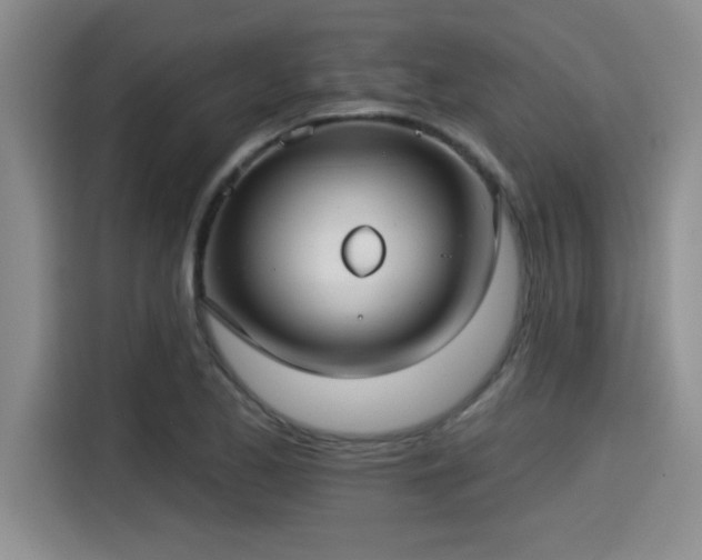 X0000115251173200911061212