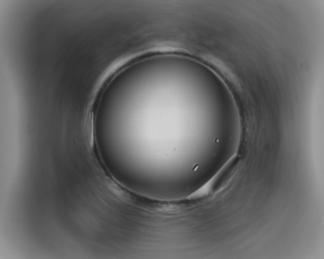 X0000115251175200911061212