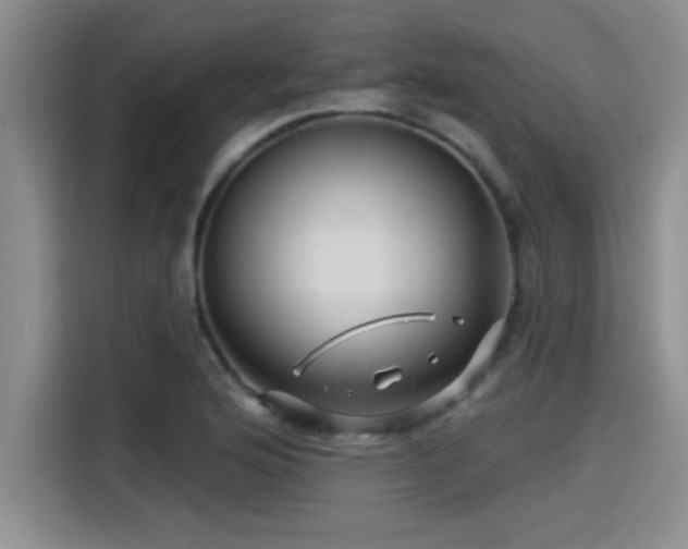 X0000115251176200911061212