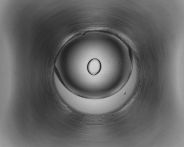 X0000115251177200911061212