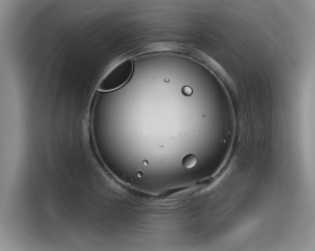 X0000115251178200911061212