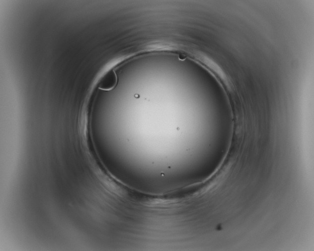 X0000115251179200911061212