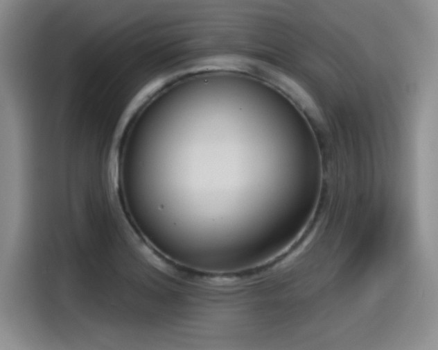 X0000115251180200911061212