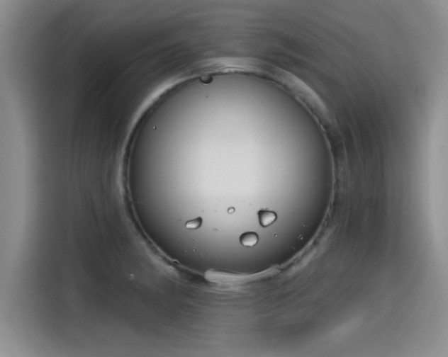 X0000115251182200911061212