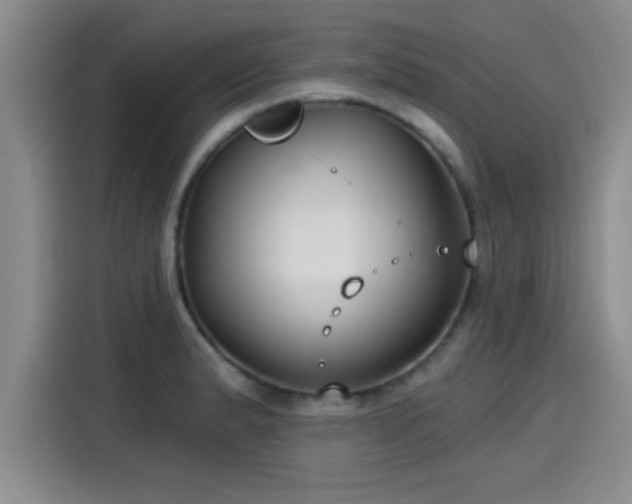 X0000115251183200911061212