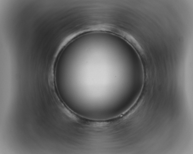 X0000115251184200911061212