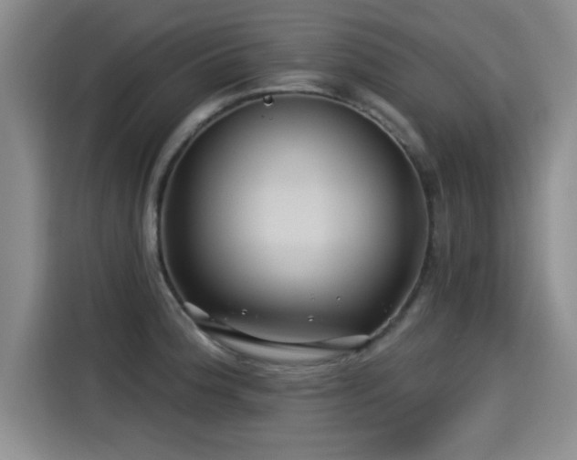 X0000115251188200911061212