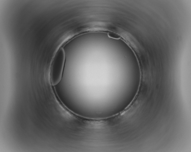 X0000115251189200911061212