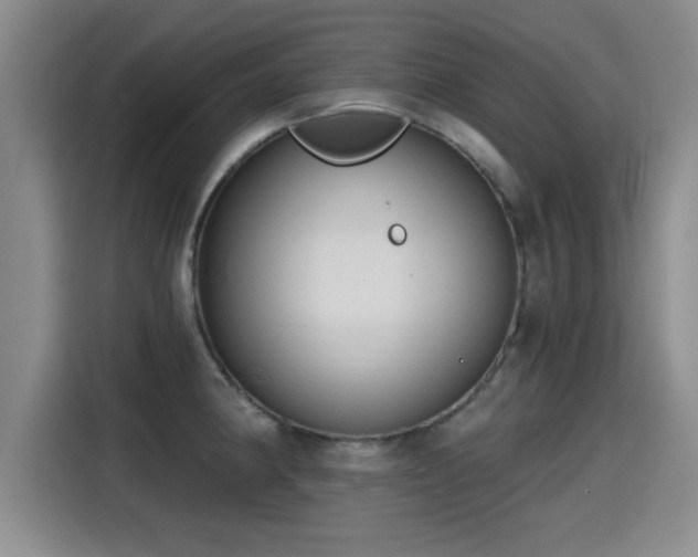 X0000115251190200911061212