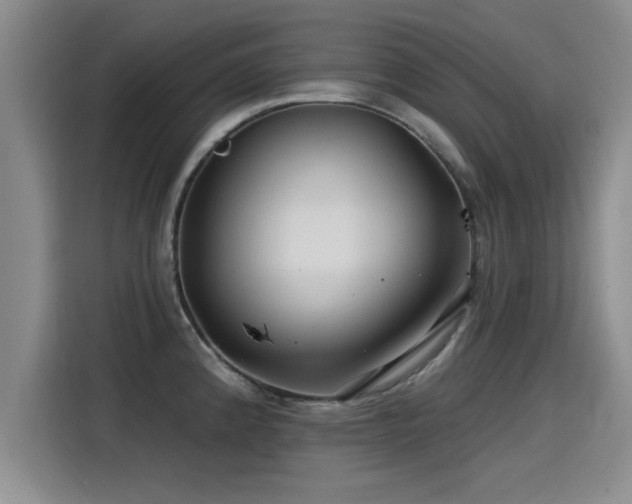 X0000115251192200911061212