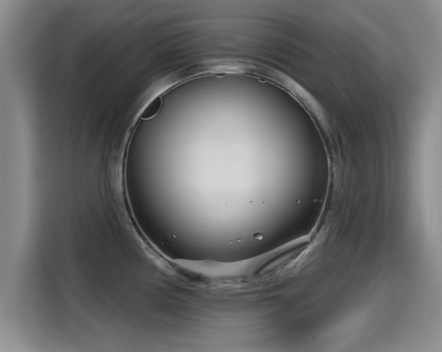 X0000115251194200911061212