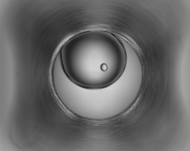 X0000115251196200911061212