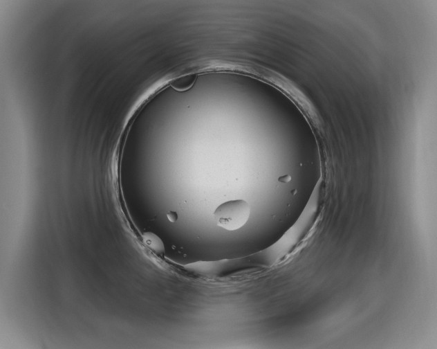 X0000115251198200911061212