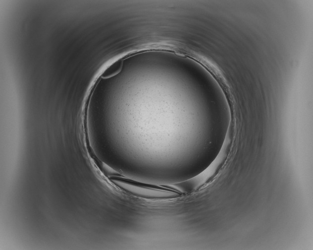 X0000115251200200911061212