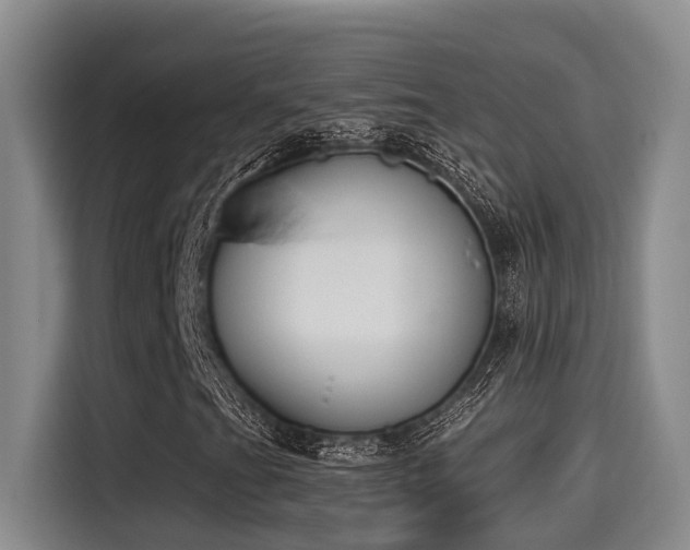 X0000115251201200911061211
