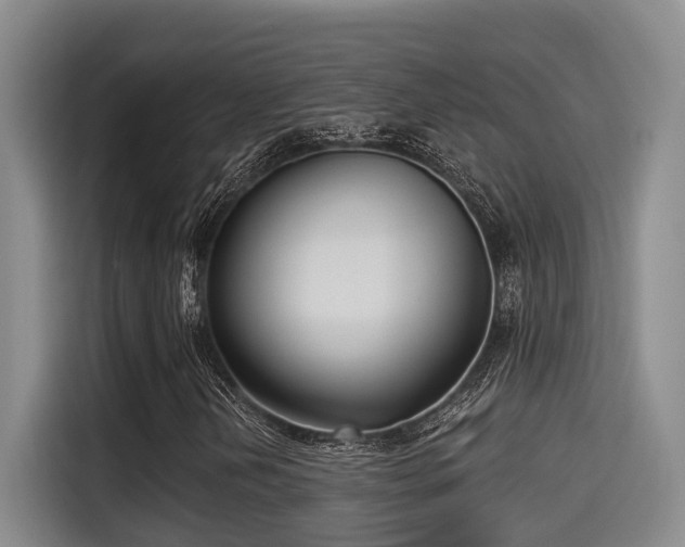 X0000115251202200911061211
