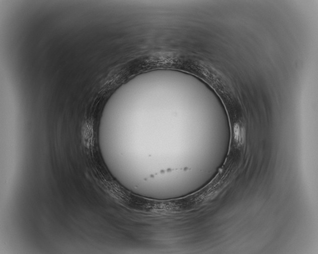 X0000115251203200911061211