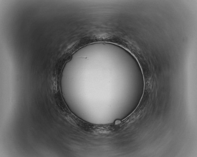 X0000115251205200911061212