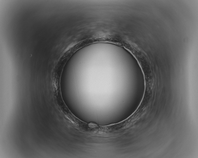 X0000115251206200911061212