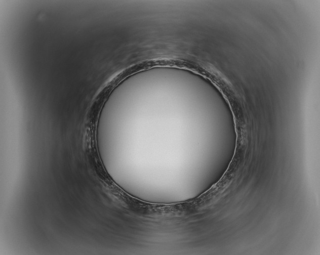 X0000115251208200911061212