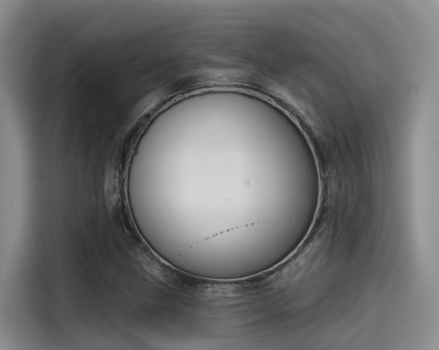 X0000115251211200911061212