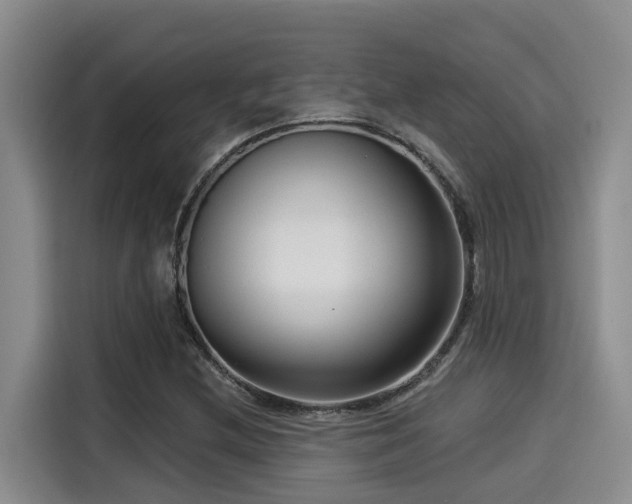 X0000115251212200911061212