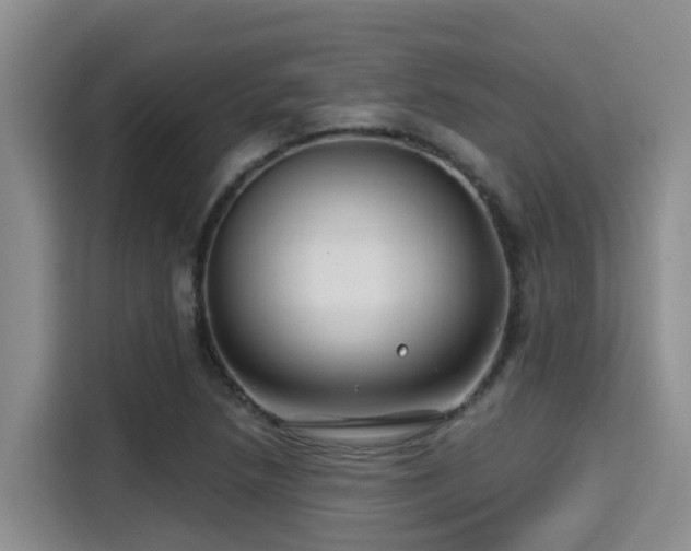 X0000115251218200911061212