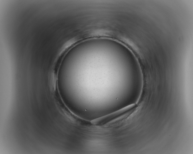 X0000115251219200911061212