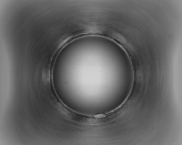 X0000115251220200911061212