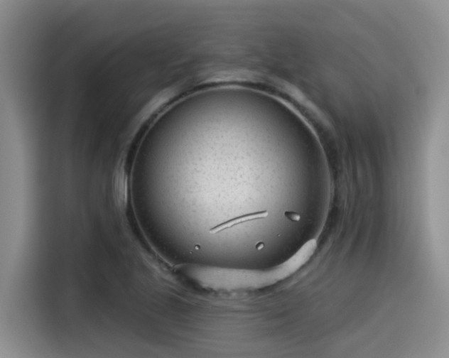 X0000115251221200911061212