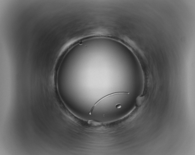 X0000115251222200911061212