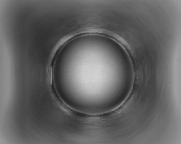 X0000115251223200911061212