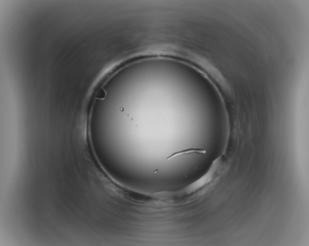 X0000115251224200911061212