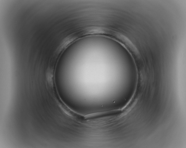 X0000115251225200911061212