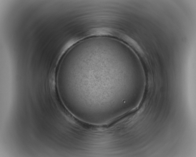 X0000115251226200911061212