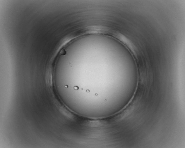 X0000115251227200911061212
