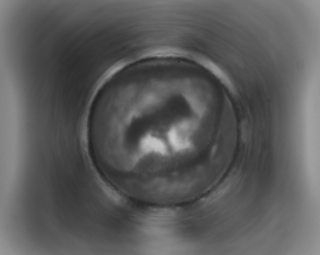 X0000115251229200911061212