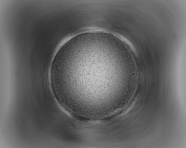 X0000115251231200911061212