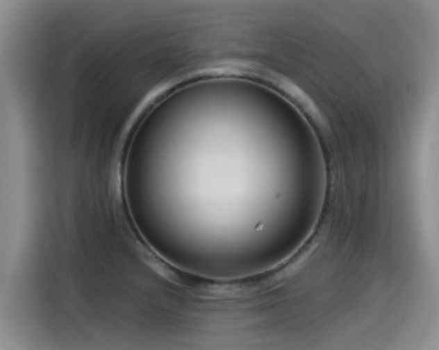 X0000115251232200911061212
