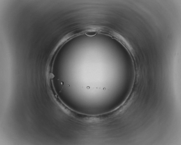 X0000115251235200911061212