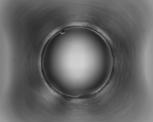 X0000115251237200911061212