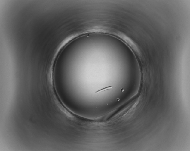 X0000115251238200911061212