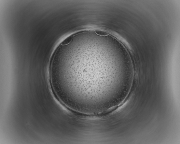 X0000115251239200911061212