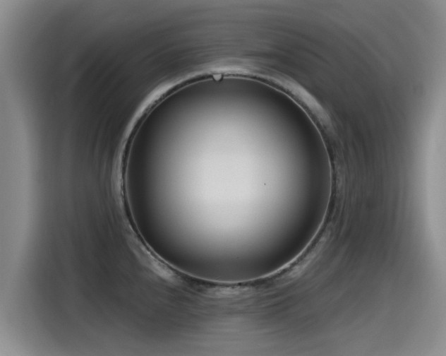 X0000115251240200911061212