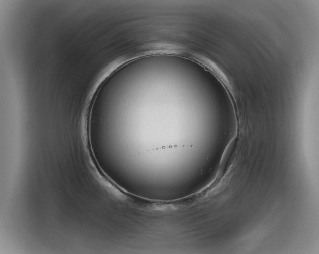 X0000115251243200911061212