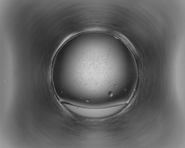 X0000115251244200911061212