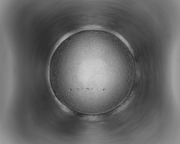 X0000115251245200911061212