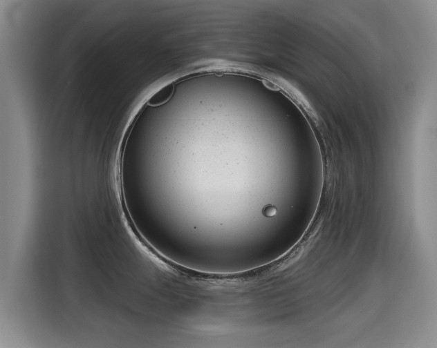 X0000115251247200911061212