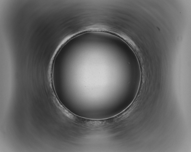 X0000115251248200911061212