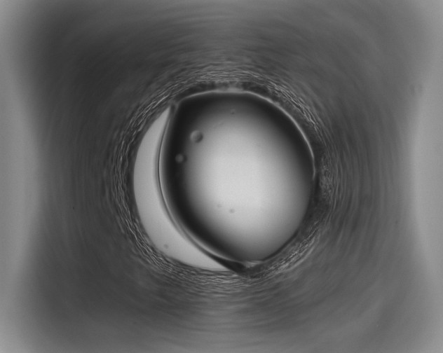 X0000115251249200911061211
